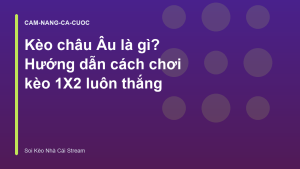 Read more about the article Kèo châu Âu là gì? Hướng dẫn cách chơi kèo 1X2 luôn thắng
